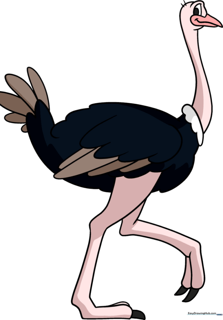 Ostrich
