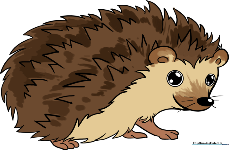 Hedgehog