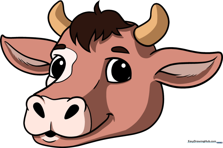 Cow Face and Head