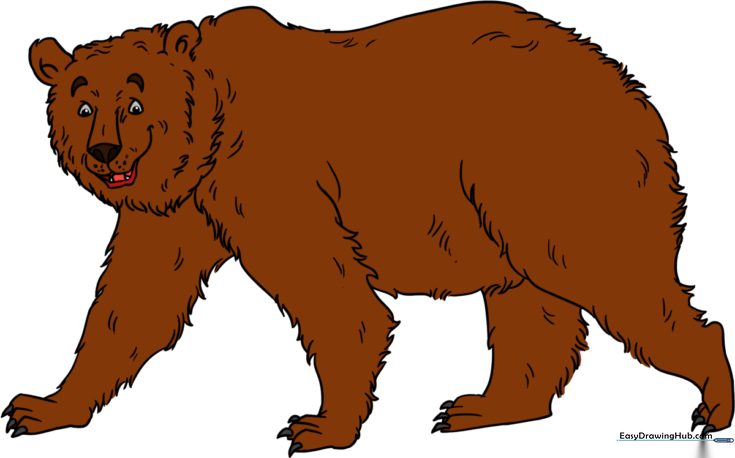 Grizzly Bear