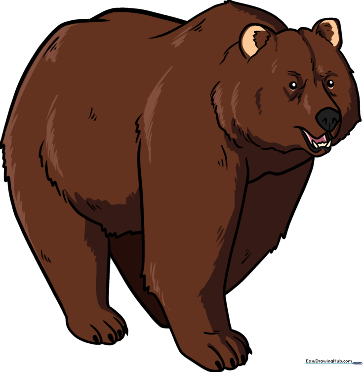 Bear
