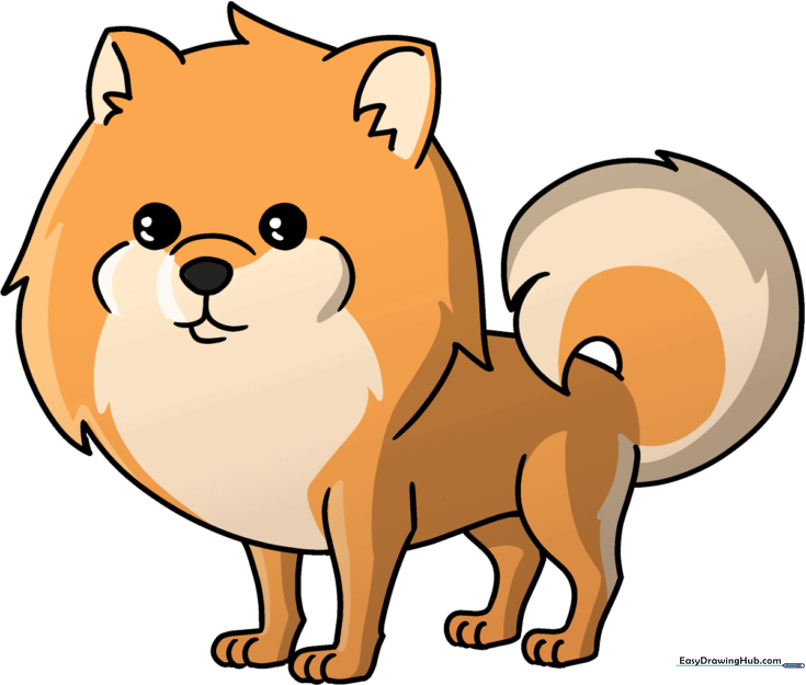 Pomeranian