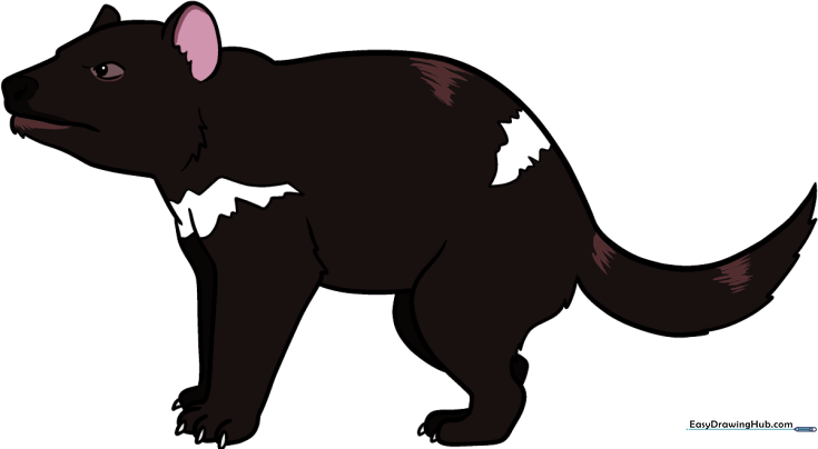 Tasmanian Devil
