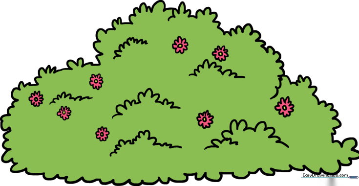 Garden Bush