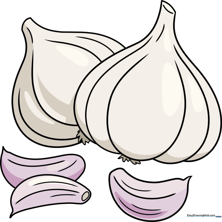 Garlic Bulb