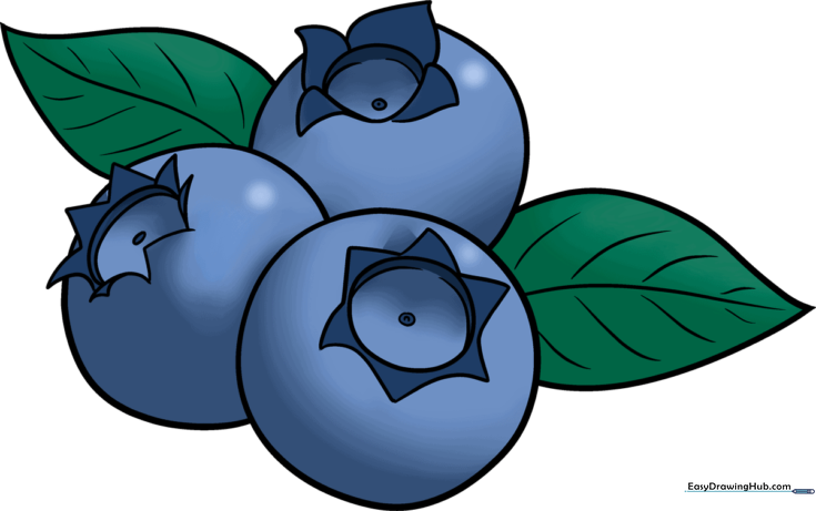 Blueberry