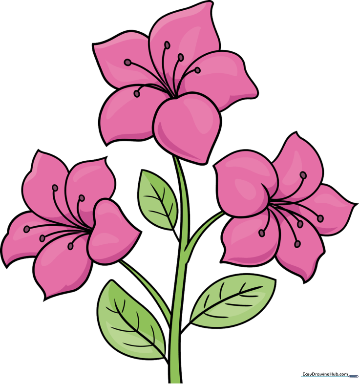 Azalea