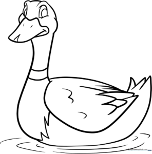 A clean, black-and-white line art illustration of a Mallard duck, featuring clear outlines for easy coloring by children.