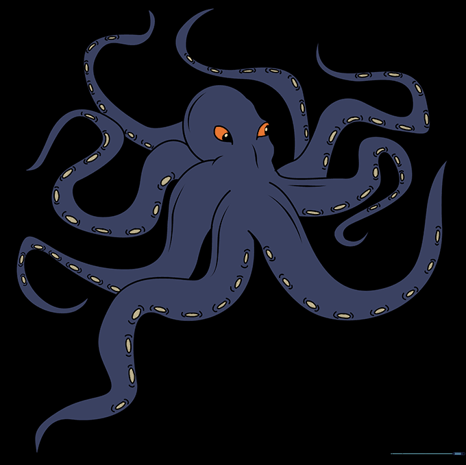 The Kraken