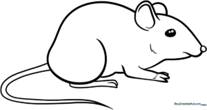 A clean, bold-lined illustration of a cute mouse with large ears and a friendly expression, designed for easy coloring by young children.