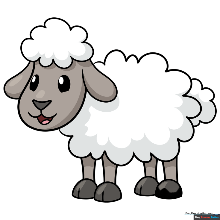 Fluffy Sheep