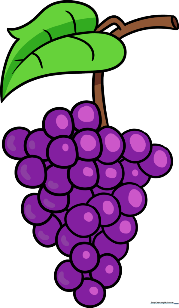 Bunch of Grapes