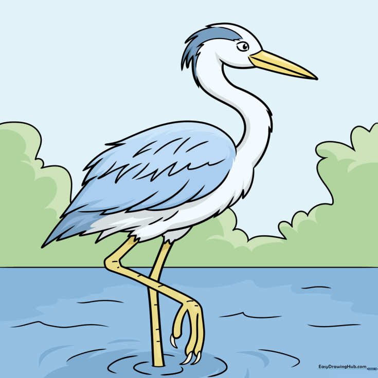 Elegant Heron