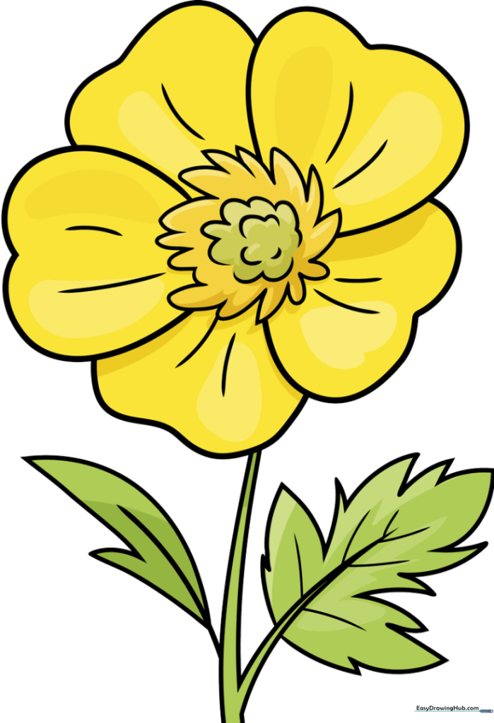 Bright Buttercup