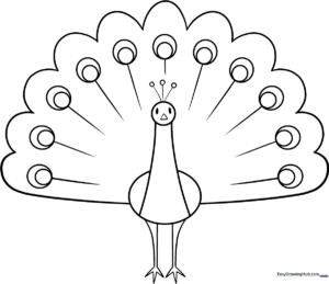Black and white line art of a peacock with a large, fanned-out tail featuring circular eye-spot patterns, ready for coloring.