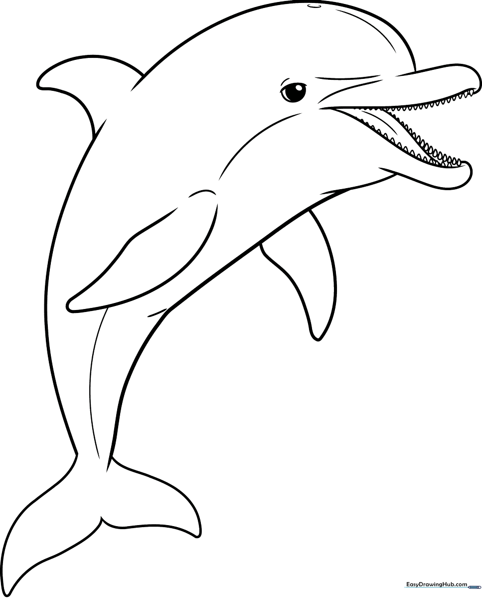 A clean, black-and-white line art illustration of a swimming dolphin, featuring realistic proportions and smooth curves, ready for coloring.