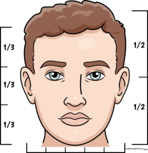 Pencil sketch of a realistic human face showing construction lines for facial proportions.