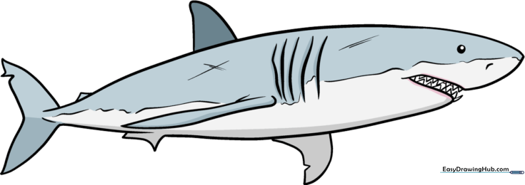 Easy Realistic Shark