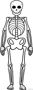 A friendly, cartoon-style skeleton with bold outlines, perfect for children to color and learn about basic human bone structure.