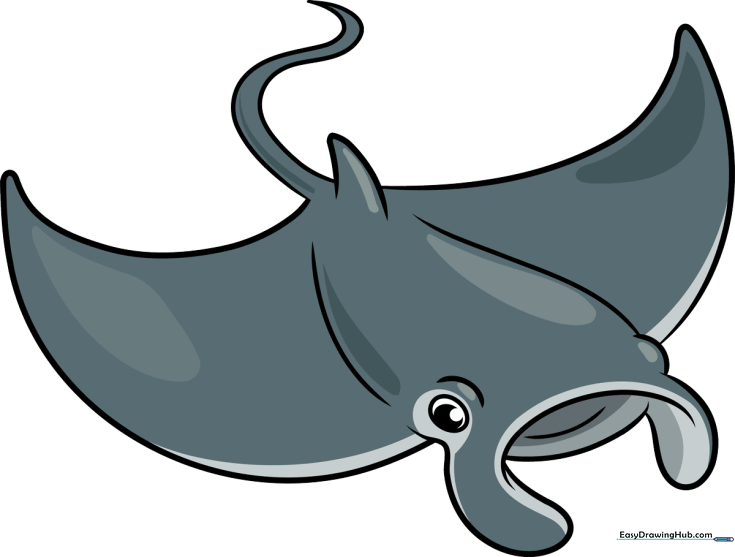 Manta Ray