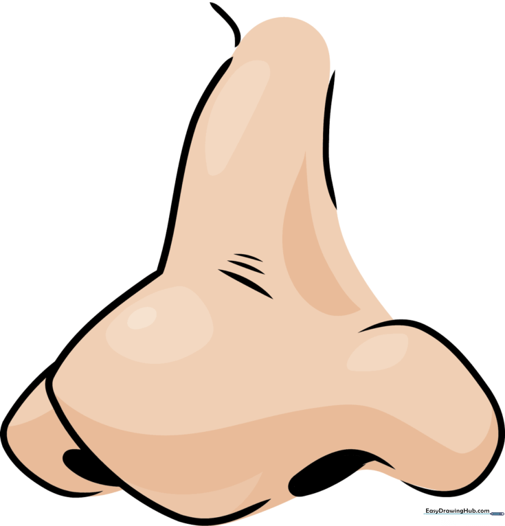 Cartoon Nose