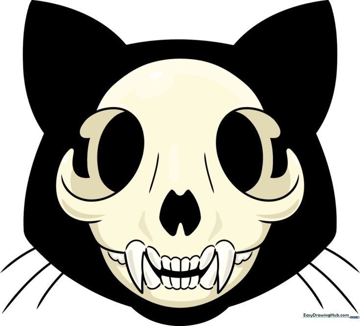 Cat Skull