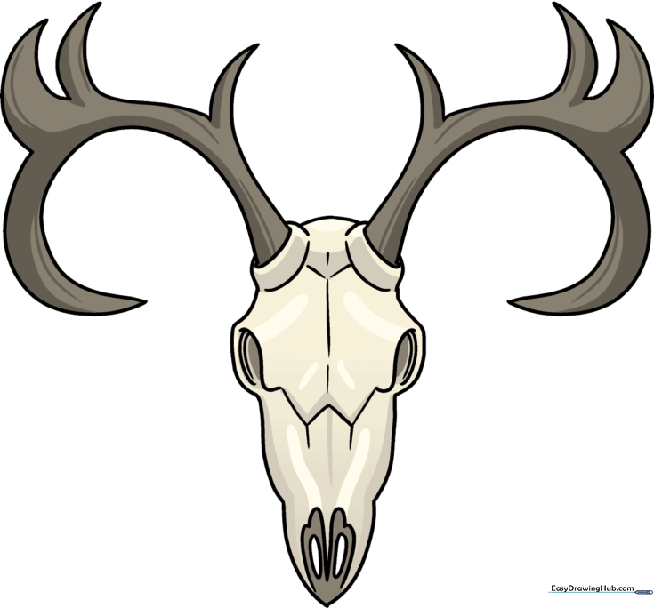 Deer Skull