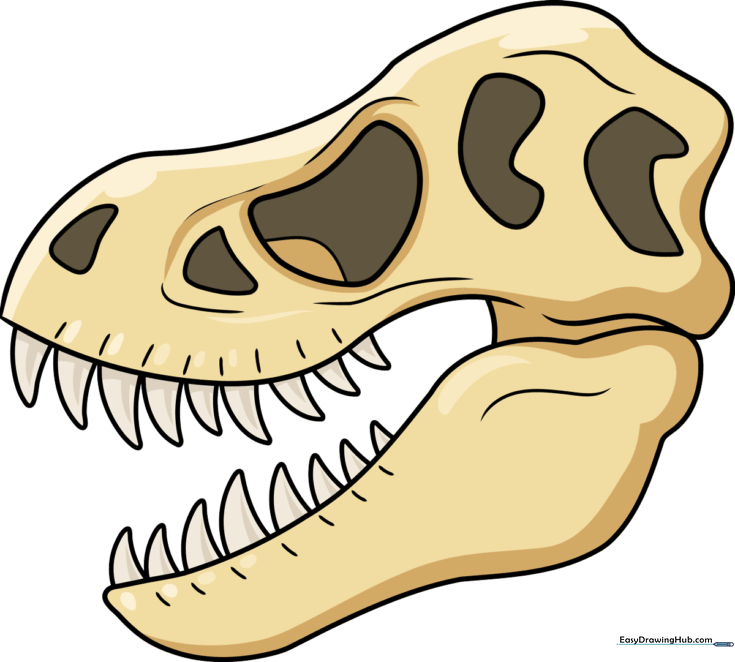 Dinosaur Skull