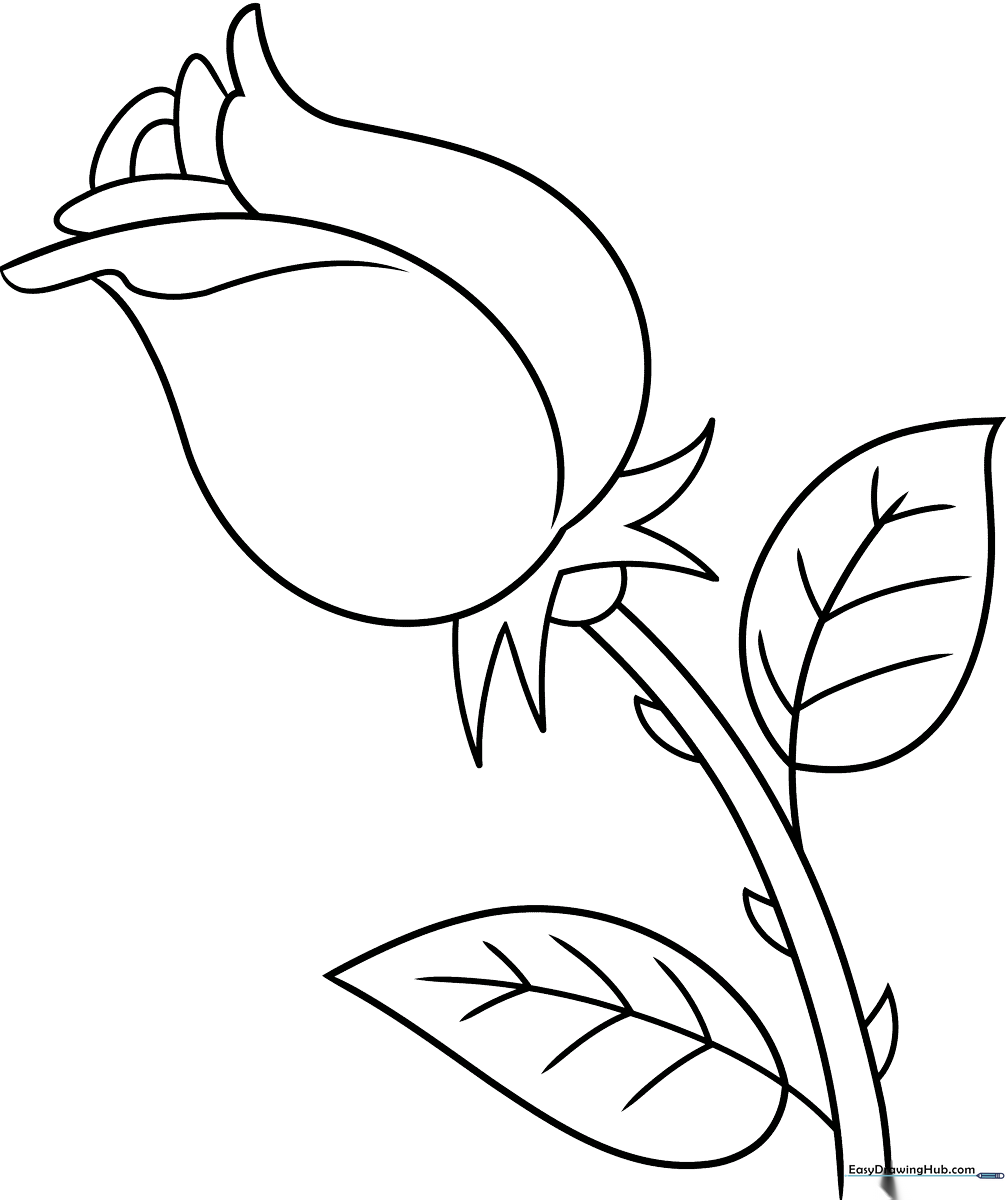 A clean, black-and-white line art illustration of a single rose with two leaves, designed as a coloring activity for children to practice shading and color blending.