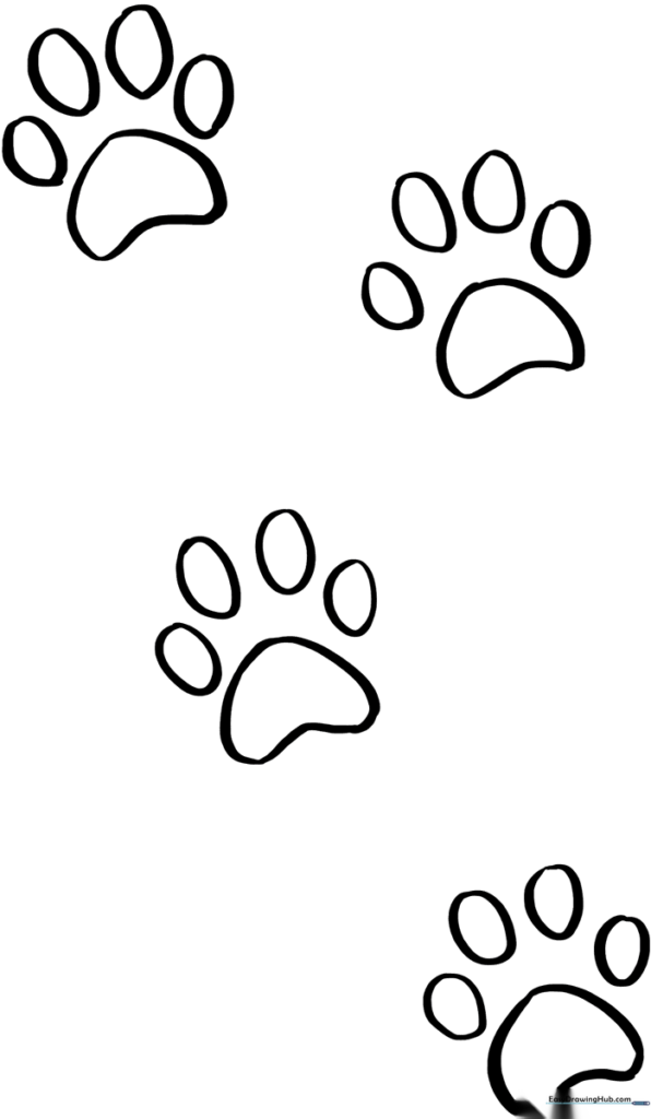 Cat Paw Prints