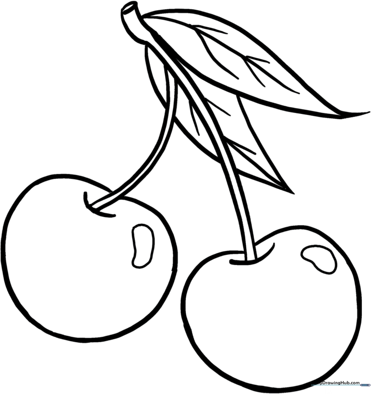 Fresh Cherries