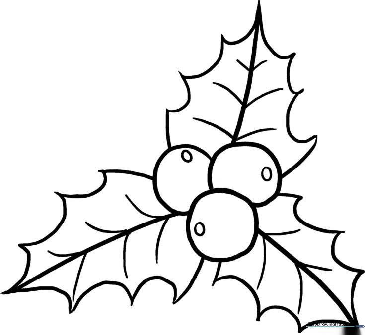Holly