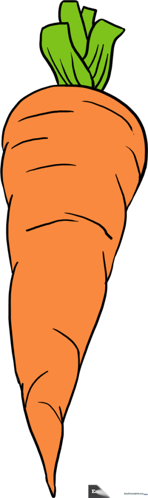 Carrot