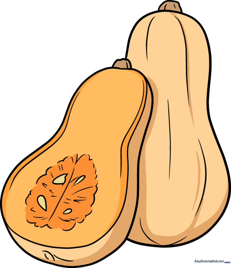 Butternut Squash