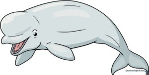 Pencil sketch of a smiling beluga whale showing its rounded forehead and open mouth.