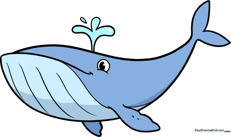 Easy Whale
