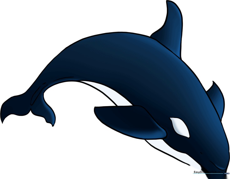Orca