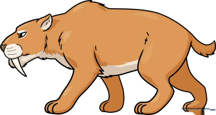 Saber Tooth Tiger (Smilodon)