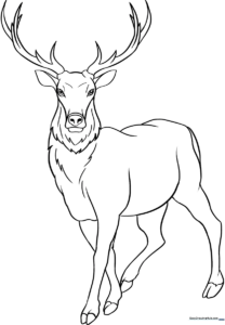 A friendly cartoon elk standing in profile with large, detailed antlers, ready for children to color with crayons or markers.