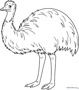 Black and white line art of a friendly Emu standing, featuring clear outlines for easy coloring by young children.