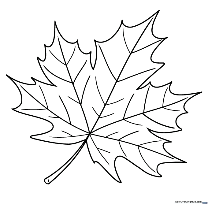 Maple Leaf