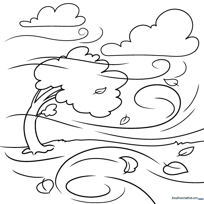 Windy Day