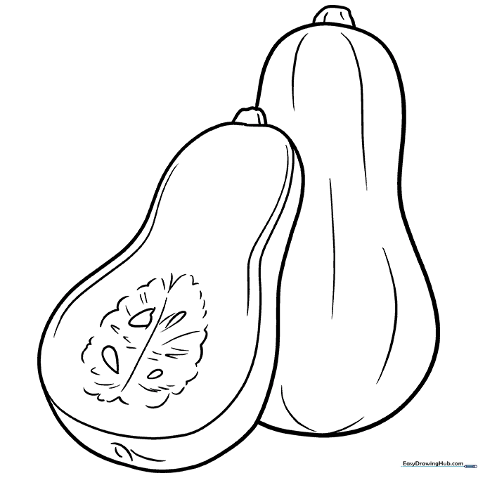 Butternut Squash Coloring Sheet