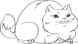 A friendly, round cartoon cat with large eyes and a happy expression, outlined in bold black lines for easy coloring by children.