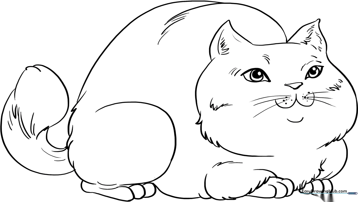 A friendly, round cartoon cat with large eyes and a happy expression, outlined in bold black lines for easy coloring by children.