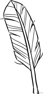 Black and white line art of a single bird feather with clear, bold outlines for easy coloring by children.