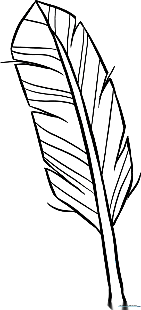 Black and white line art of a single bird feather with clear, bold outlines for easy coloring by children.