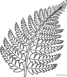 Black and white line art of a lush fern plant with detailed fronds, designed for children to color and practice fine motor skills.