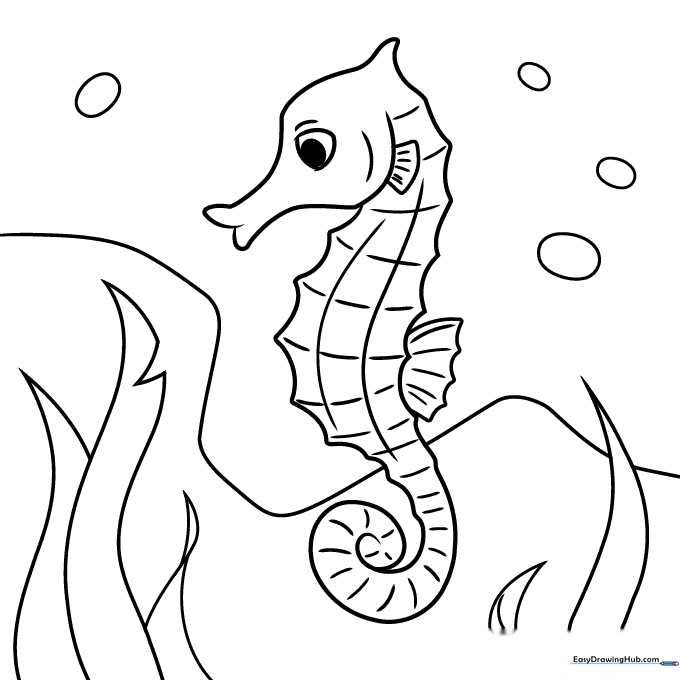 Seahorse Coloring Sheet
