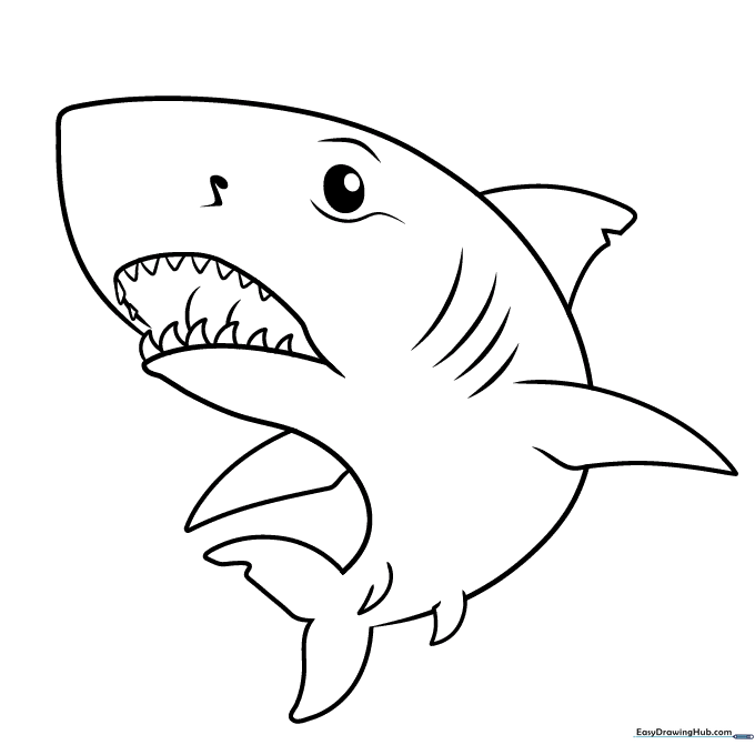Great White Shark Coloring Sheet
